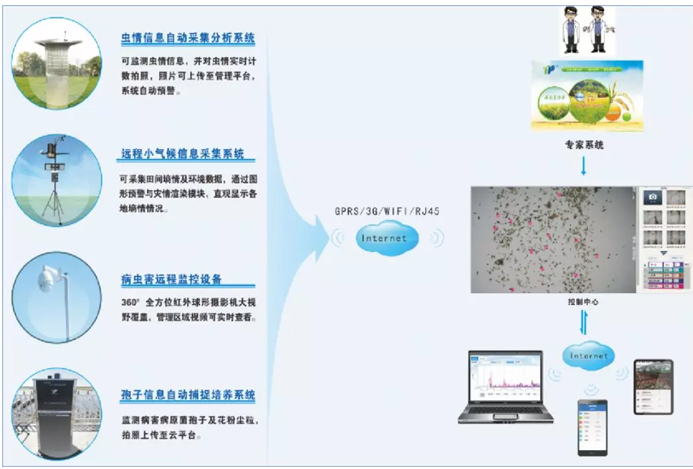 智慧养护解决方案