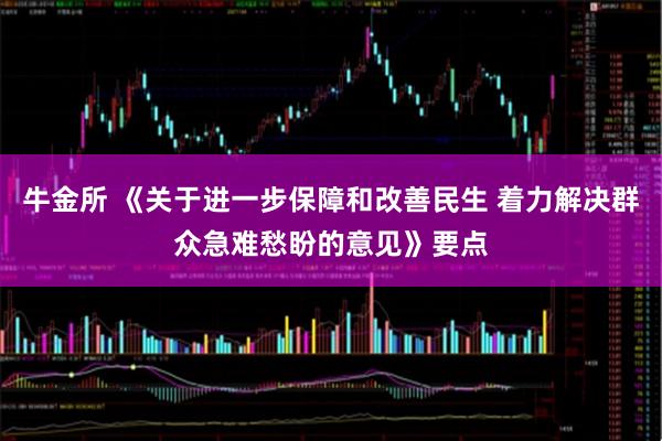牛金所 《关于进一步保障和改善民生 着力解决群众急难愁盼的意见》要点