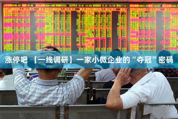 涨停吧 【一线调研】一家小微企业的“夺冠”密码