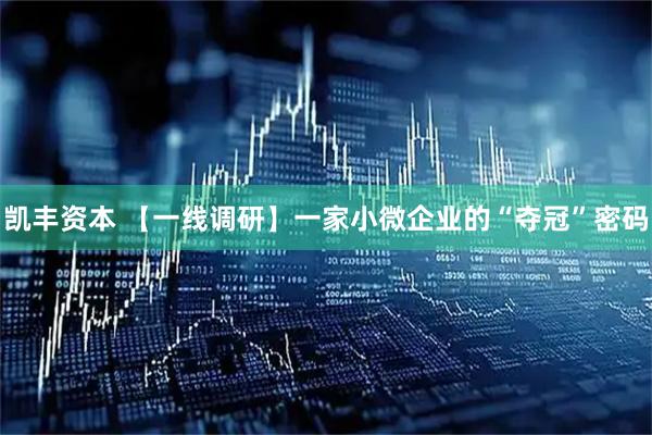 凯丰资本 【一线调研】一家小微企业的“夺冠”密码