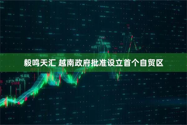 毅鸣天汇 越南政府批准设立首个自贸区